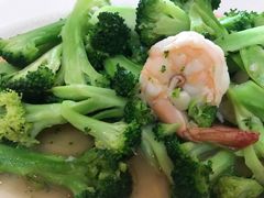 -Red Lobster