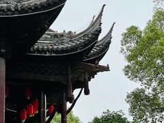 -八大山人梅湖景区