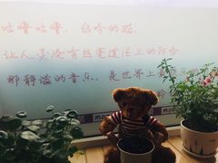 -猫的茶·猫咖