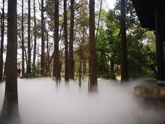 -东湖落雁景区