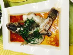 -盛记顺德高佬猪杂粥