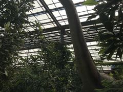 -呀路古热带植物园-恐龙馆