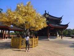 -广东圆玄道观