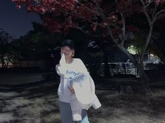 -仙游岛公园