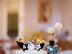 -Husky Go! 哈士奇体验馆·宠物咖啡厅狗咖