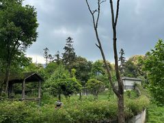 -碧峰峡风景区