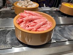 -龍歌自助小火锅(崂山丽达店)