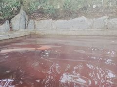 -深业半汤御泉庄温泉