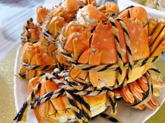 -乡乐园蟹庄·阳澄湖农家乐