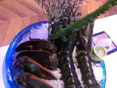 -半岛听涛蒸汽海鲜自助(K11店)