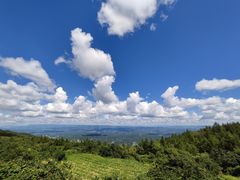 -齐岳山