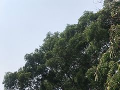 -北辰山景区