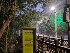 -南山植物园