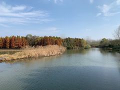 -溱湖国家湿地公园