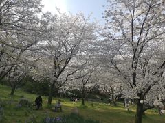 -苏州上方山国家森林公园