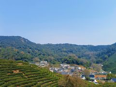 -龙井村