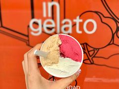 荔枝树莓洛神花-Dip in Gelato(富民路店)