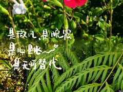 -上海植物园-4号门售票处