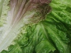 -梨花自助烤肉(乐宾店)