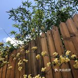 哎哟哟，简直是久违了的小确幸