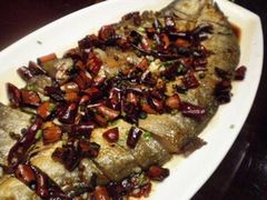 -刘胖子家常菜·蹄花焖藕(兴业店)