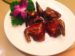 -席家花园(巨鹿花园店)
