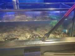 -V-ONE西雅图海鲜自助餐厅(仓山万达广场店)