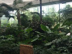 -汤山翠谷生态餐厅
