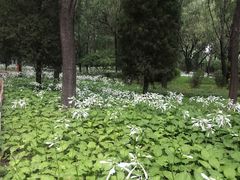 -森林公园(尖草坪区)