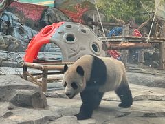 -武汉动物园