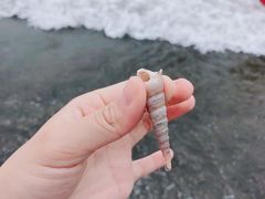 -台山黑沙湾海浴场