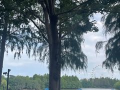 -上海野生动物园