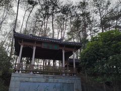 -千岛湖东南湖区