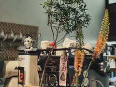 餐具摆设-竹子咖啡bamboo coffee