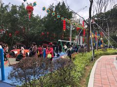 -金鸡山公园