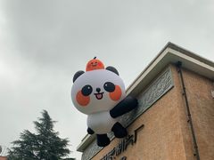 -西安电影制片厂