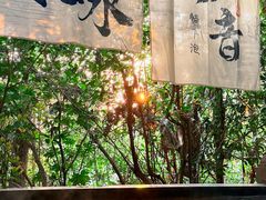 -天目湖涵田半山温泉