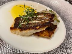 -北京古城老院厉晓麟精致菜