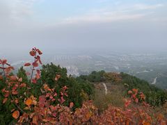 -北京西山国家森林公园