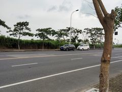 -南汇嘴观海公园