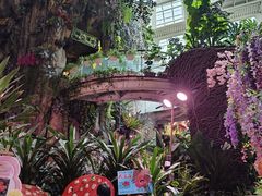 -正佳雨林生态植物园