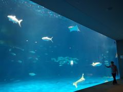-鹿儿岛水族馆