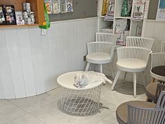 -关爱宠物医院·猫科中心·消化科(滨湖万达分院)