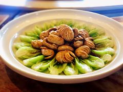 蘑菇菜心-碧丽宫大酒店(召稼楼店)