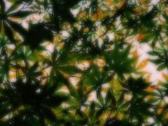 -白塘生态植物园