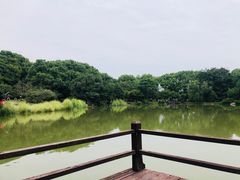 -宝岩生态观光园