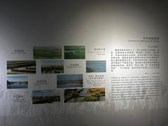 -盐城丹顶鹤湿地生态旅游区