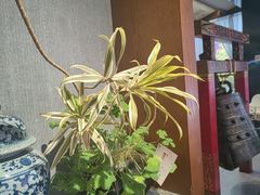 -陈熹公民族美食文化餐厅(中华广场店)