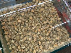 -明记海鲜大排档(巽寮湾店)