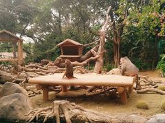 -广州长隆野生动物世界